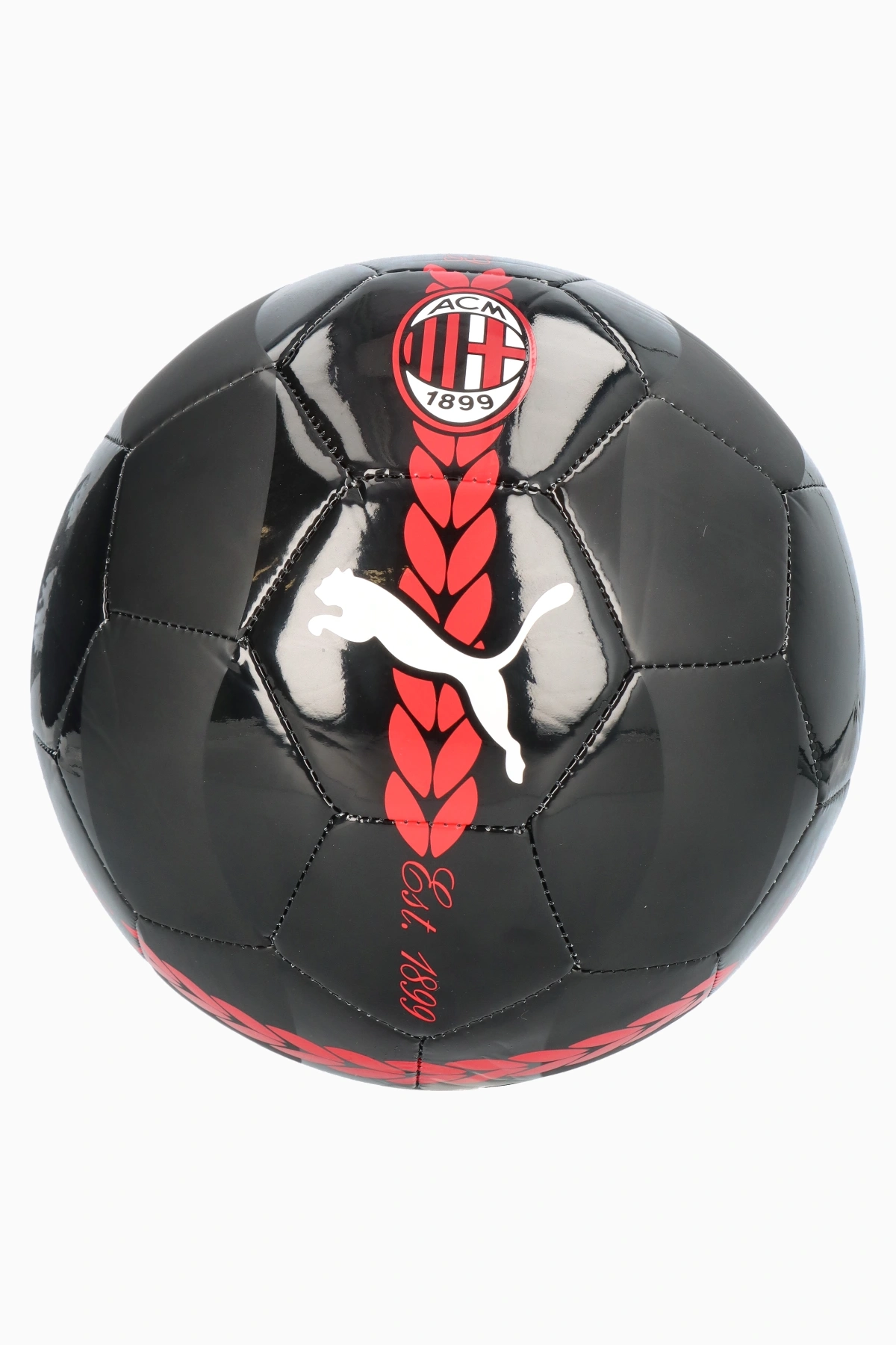 Puma AC Milan 24/25 Pre-match Futbol topu