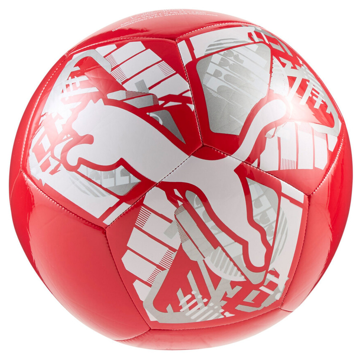 PUMA Big Cat Soccer Ball