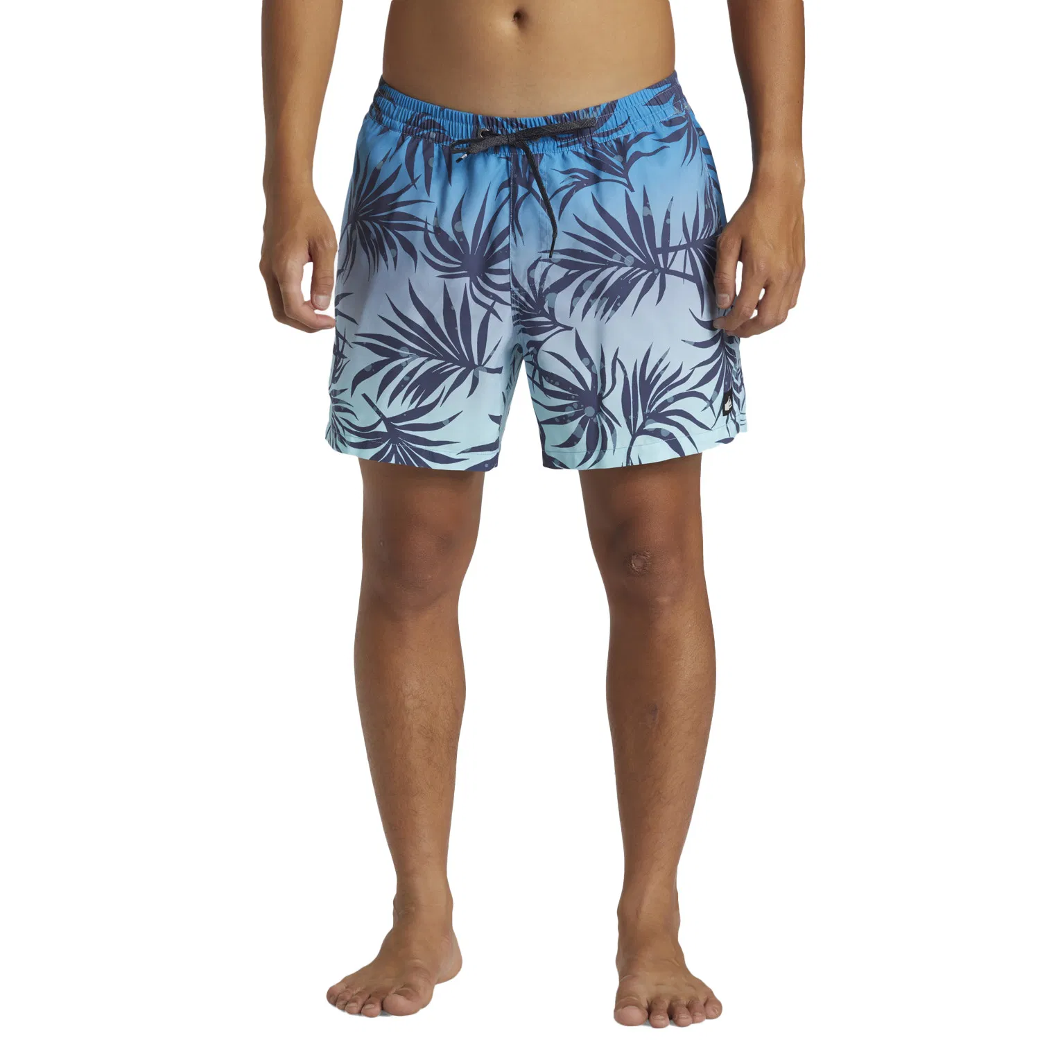 Quiksilver Everyday Mix Volley 15 Kişilər üçün çimərlik şortları