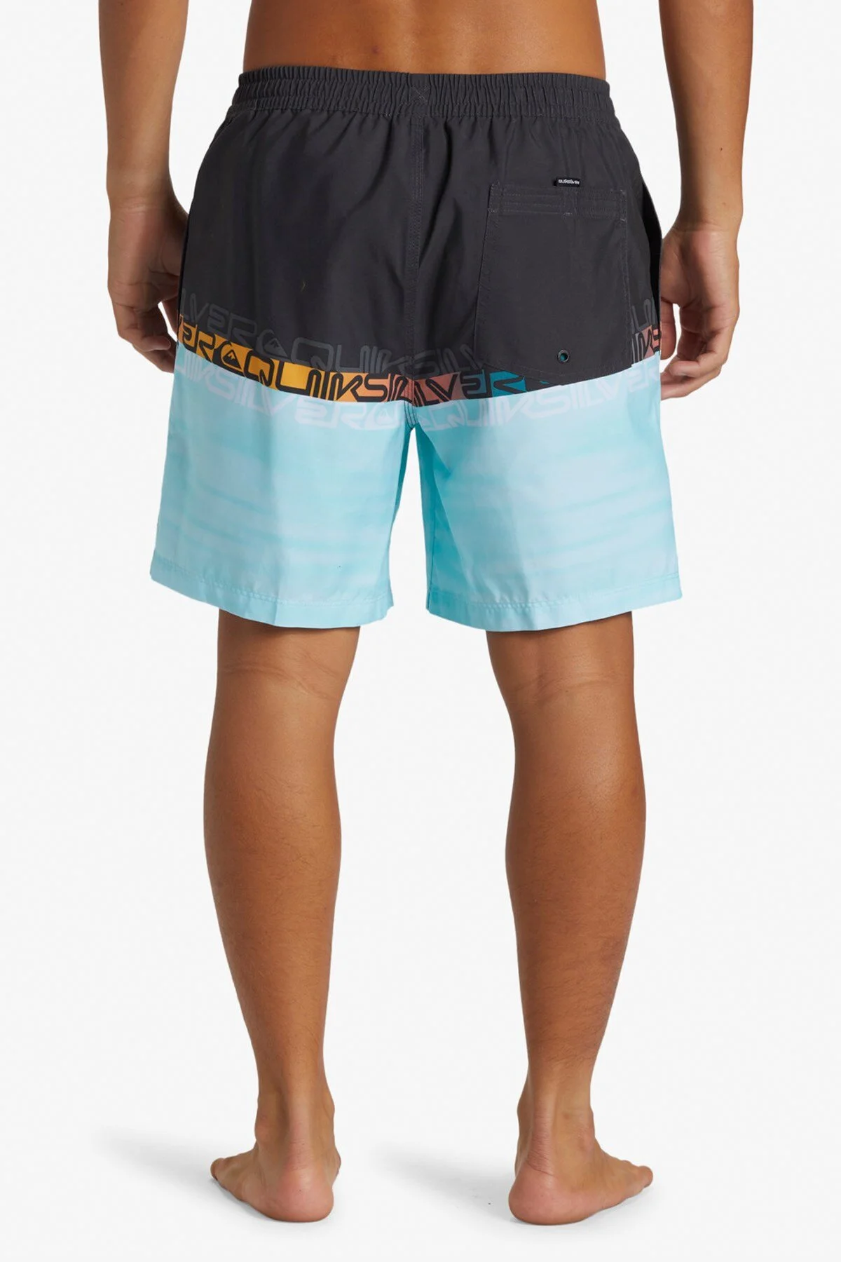 Quiksilver Everyday Worldblock Kişilər üçün çimərlik şortları