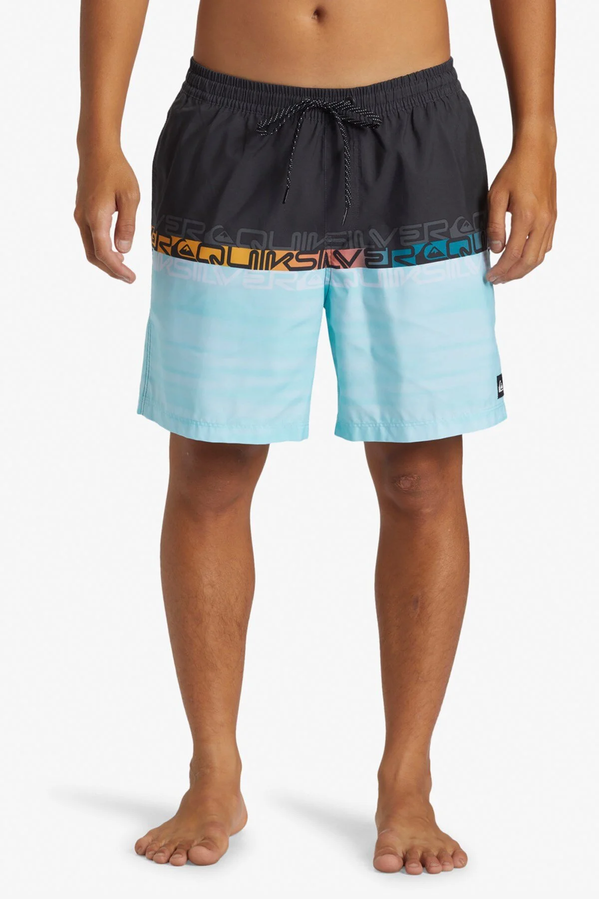 Quiksilver Everyday Worldblock Kişilər üçün çimərlik şortları