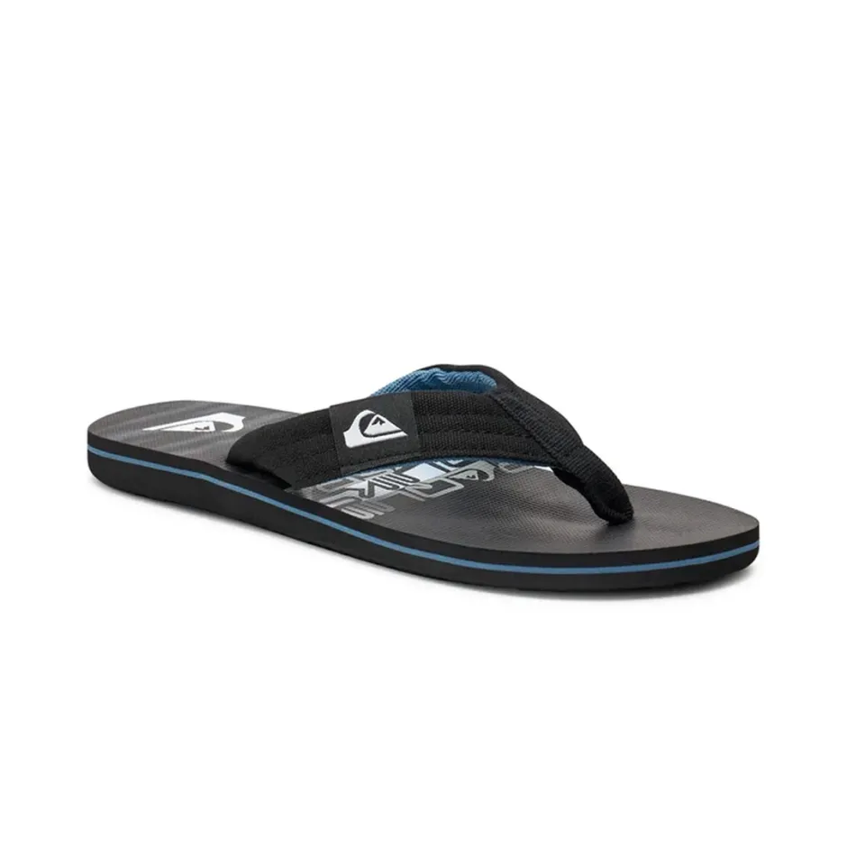 Quiksilver Molokai Layback Flip-Flops Kişilər üçün tərliklər
