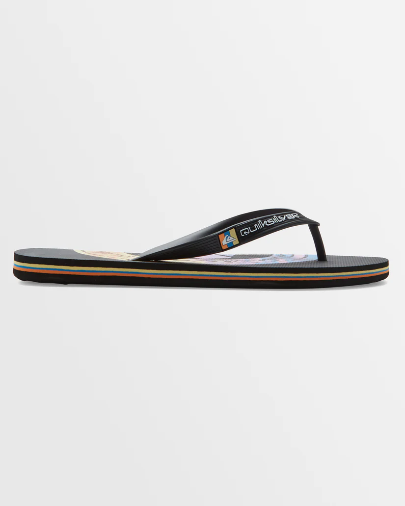 Quiksilver Molokai Art Ii Flip-Flops Kişilər üçün tərliklər