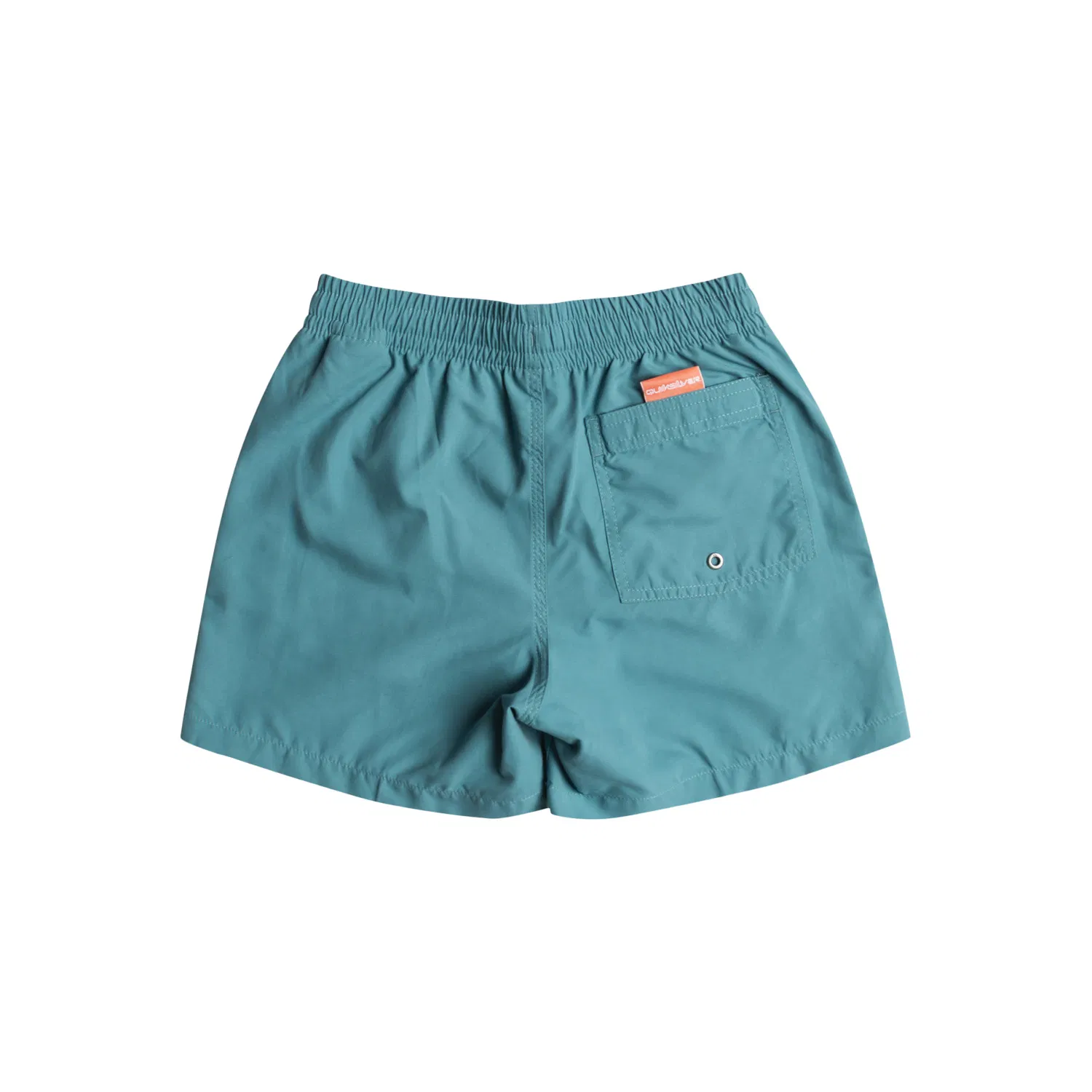 Quiksilver Everyday Volley Uşaqlar üçün çimərlik şortları