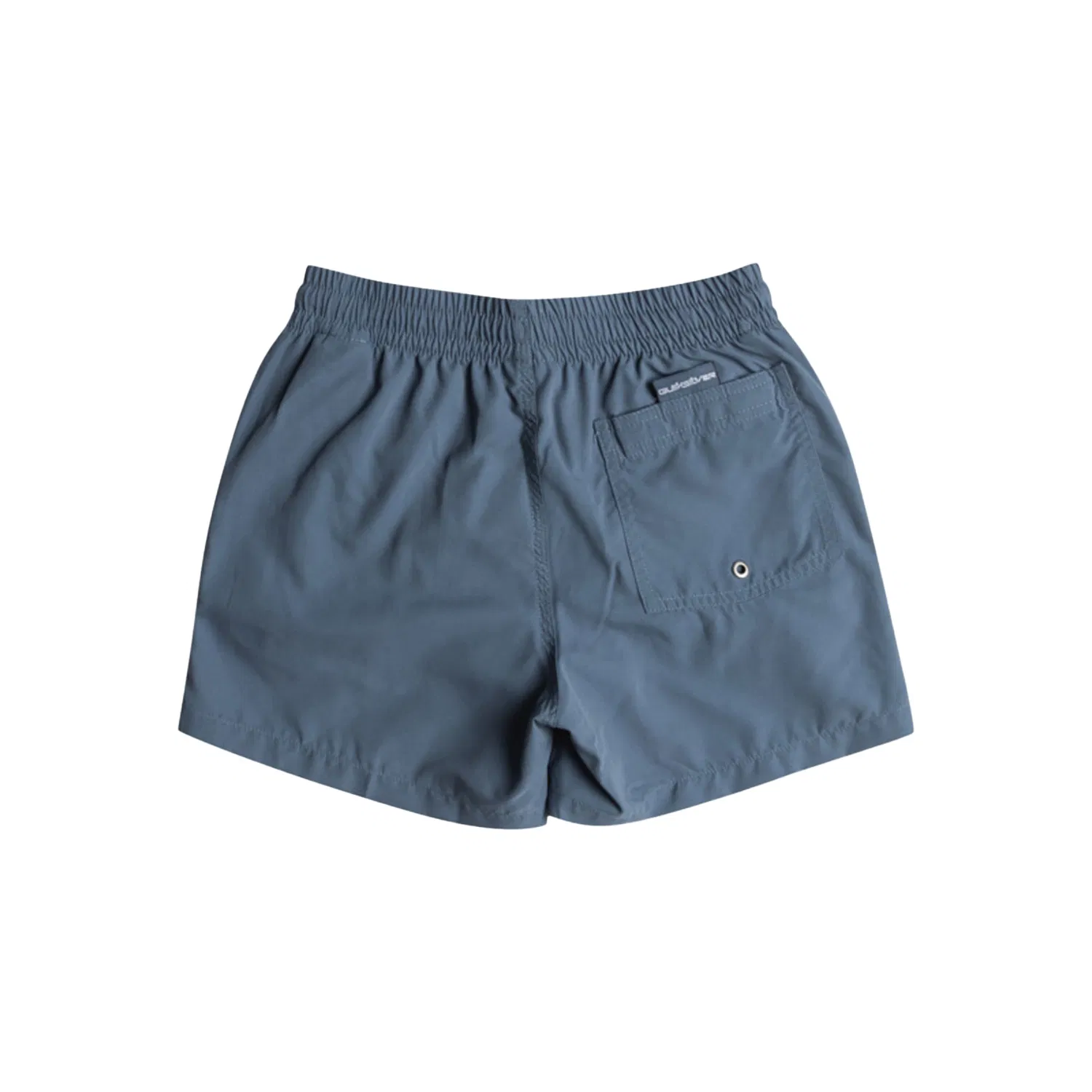 Quiksilver Everyday Volley Uşaqlar üçün çimərlik şortları