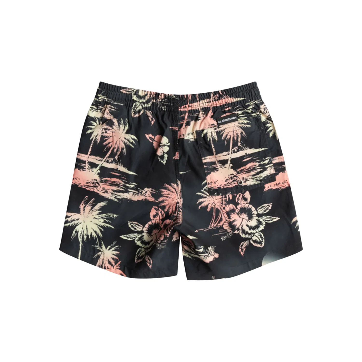 Quiksilver Everyday Mix 14 Uşaqlar üçün çimərlik şortları