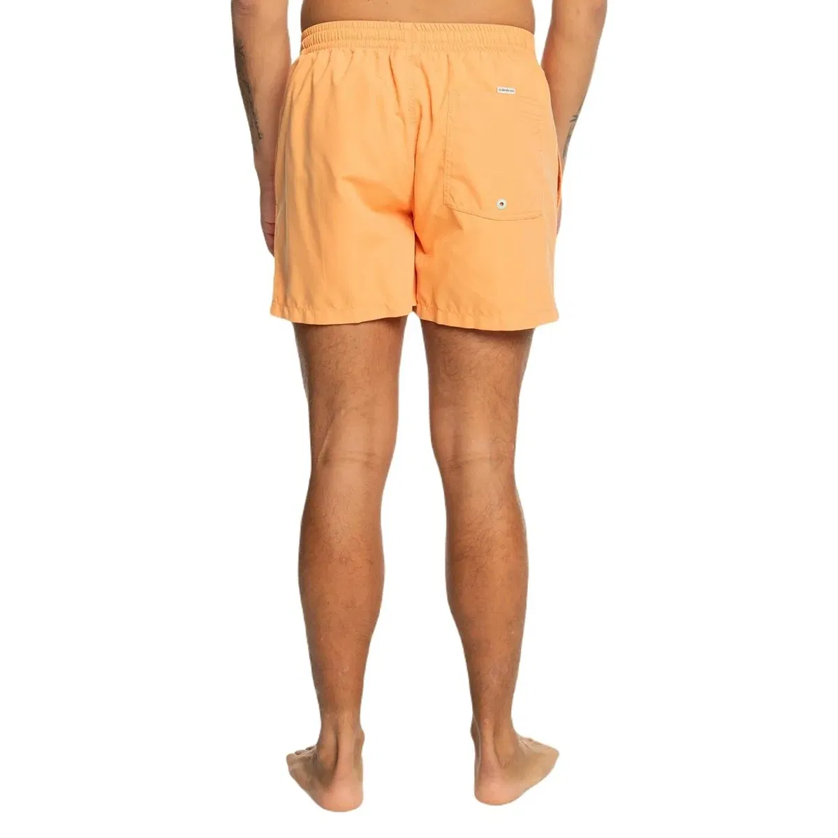 Quiksilver Behind Waves Kişilər üçün çimərlik şortları