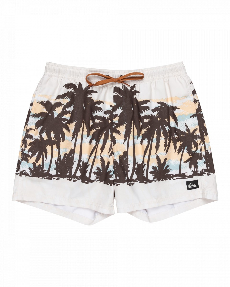 Quiksilver Everyday Straight 15 Kişilər üçün çimərlik şortları