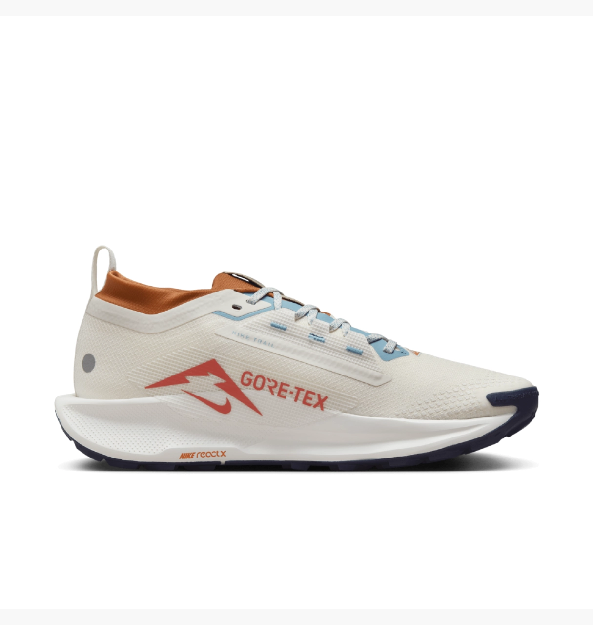 NIKE Pegasus Trail 5 GORE-TEX KİŞİ AYAQQABILARI