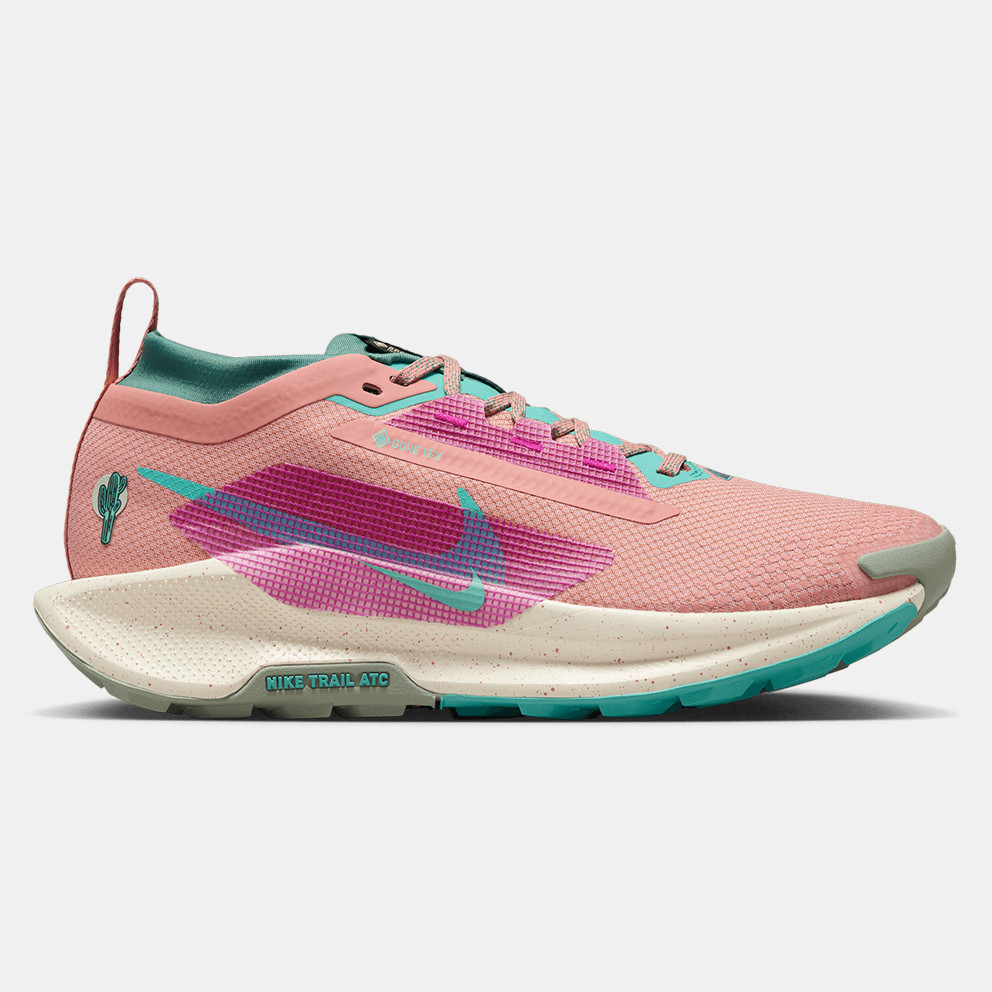 NIKE Pegasus Trail 5 GORE-TEX QADIN AYAQQABILARI